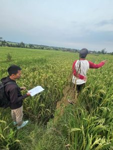 25 Tahun Menggarap Sawah, Sugiyo Kini Hadapi Sengketa: Kuasa Hukum Desak Dugaan Penyerobotan Tanah di Kulon Progo Diusut